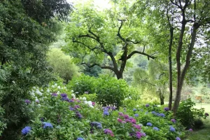 Photo des jardins de Luquenexy